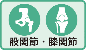 股関節・膝関節